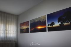 CECILIO