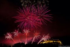 80-miguel-angel-gomez-1