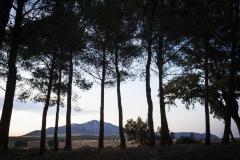 ULSB-Isa-Milan-Pinada-del-Santuario_FHD