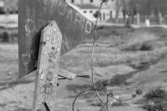 ULSB-Vicente-Bellver_Llegamos.jpg_FHD